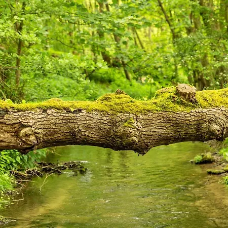 Finest Retreats - Victory Mill - One Апартаменты Пикеринг